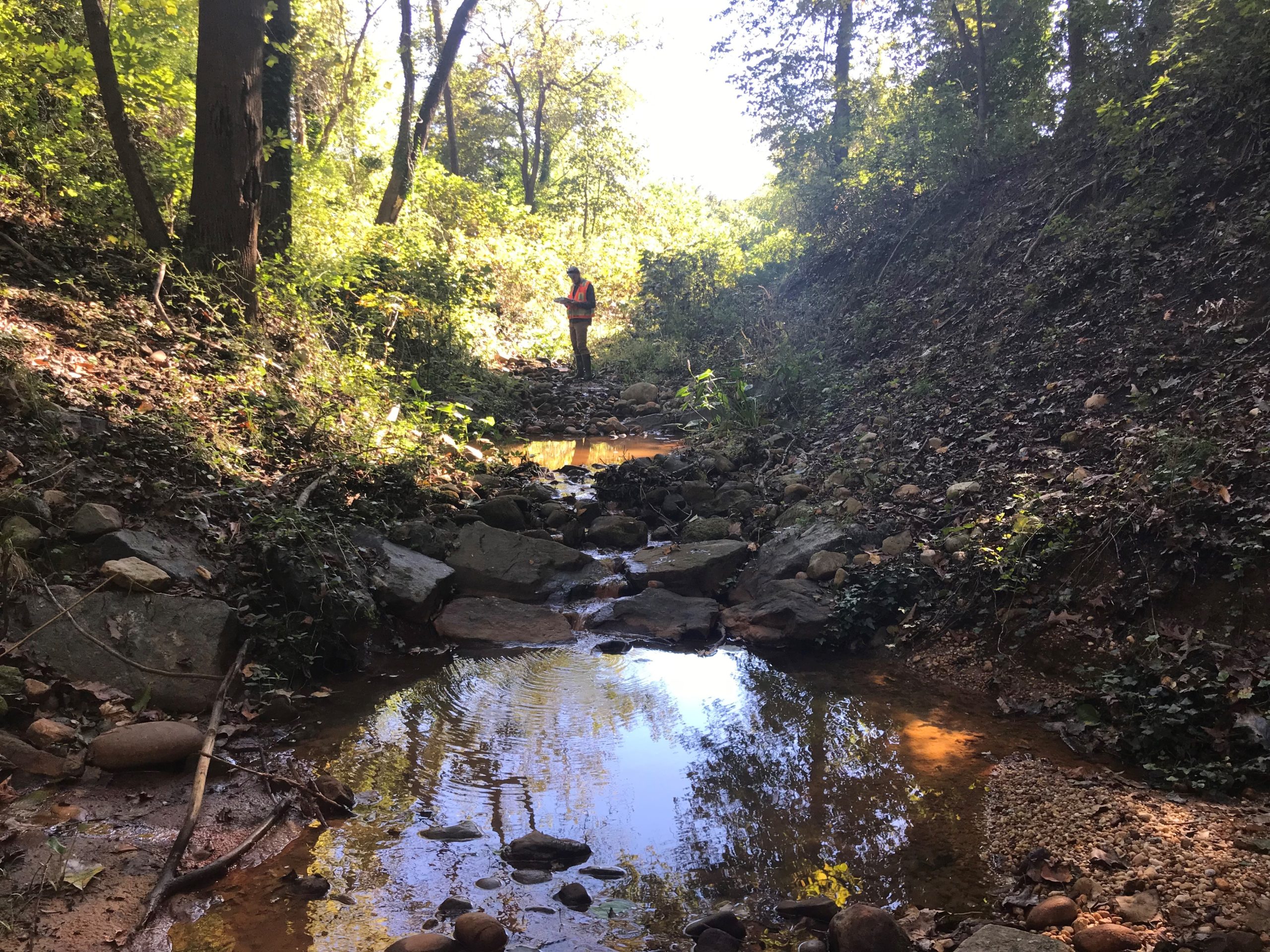 Haskell Drive Stream Bank Stabilization Project Monitoring Coastal