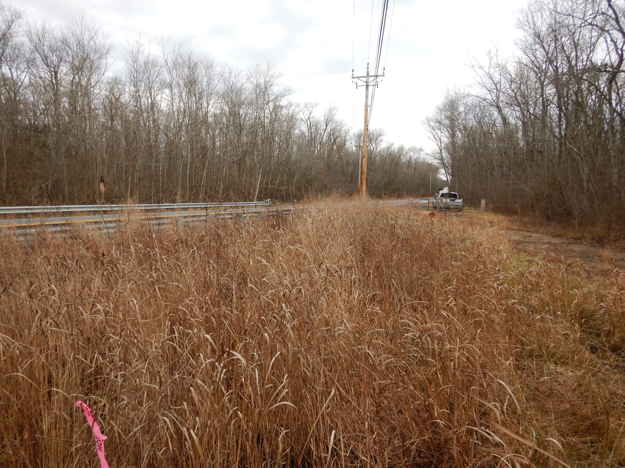 Marshyhope Creek Crossing Coastal Resources, Inc.