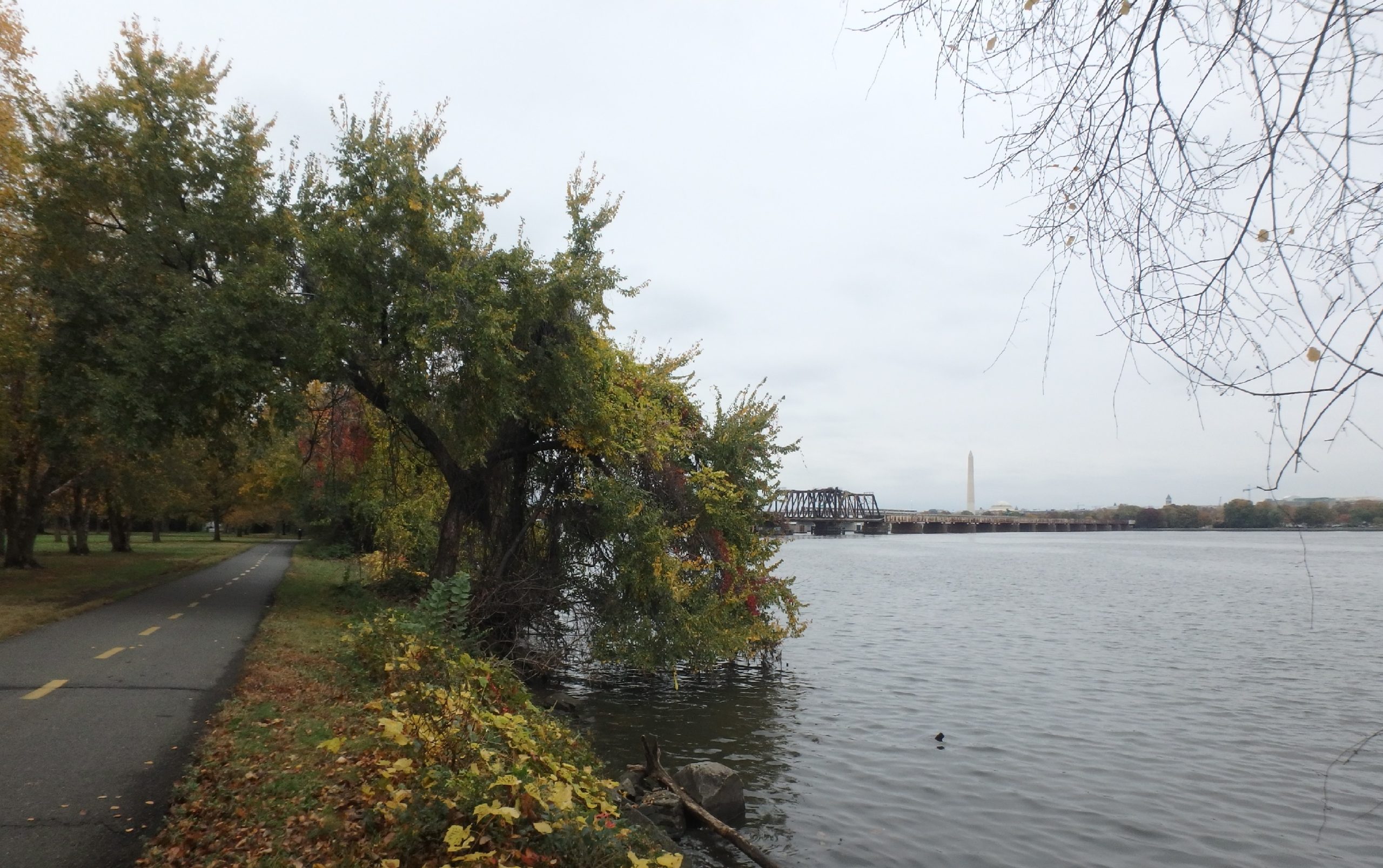 Long Bridge Project Environmental Impact Statement (EIS) Coastal