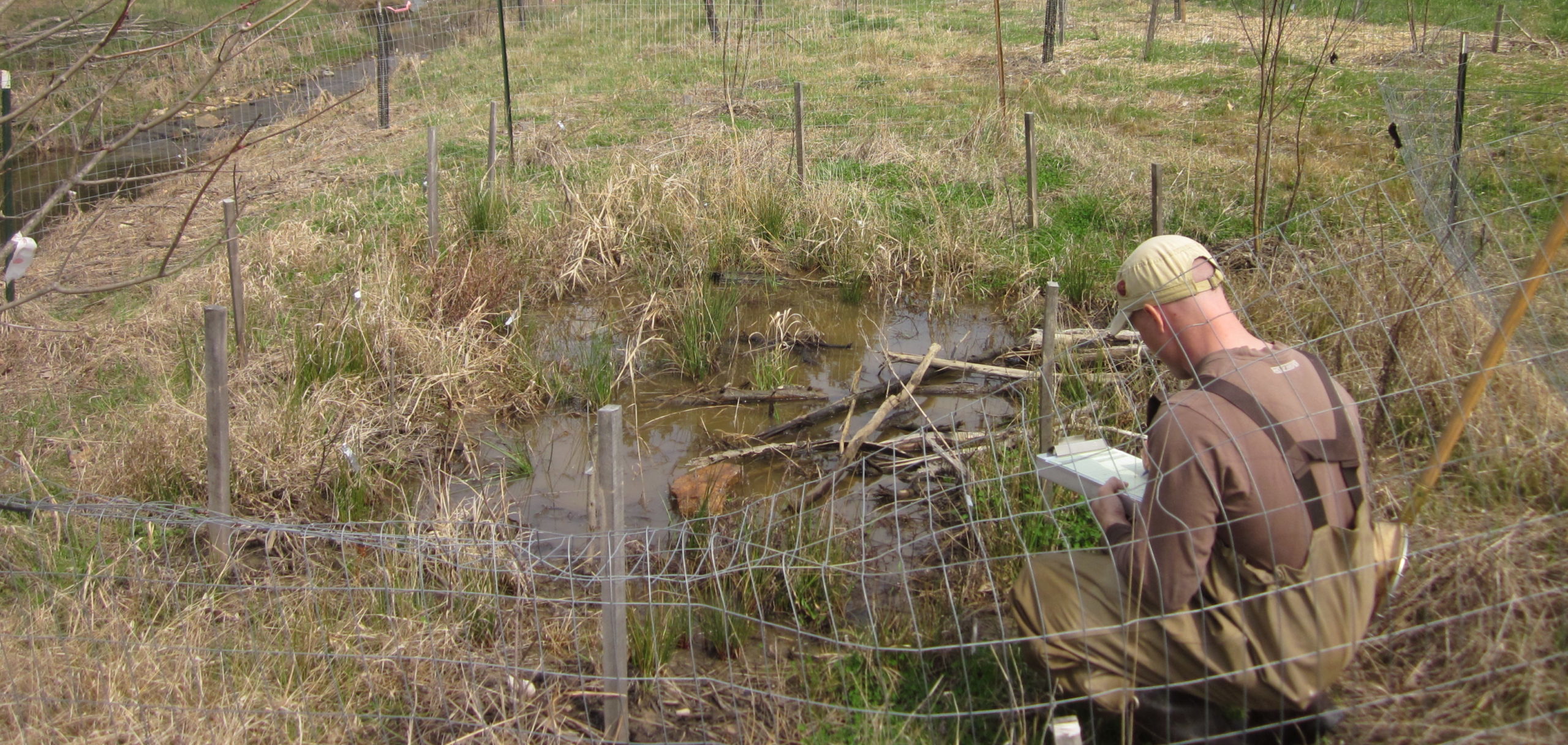 Watershed Restoration Project Pre and PostConstruction Restoration