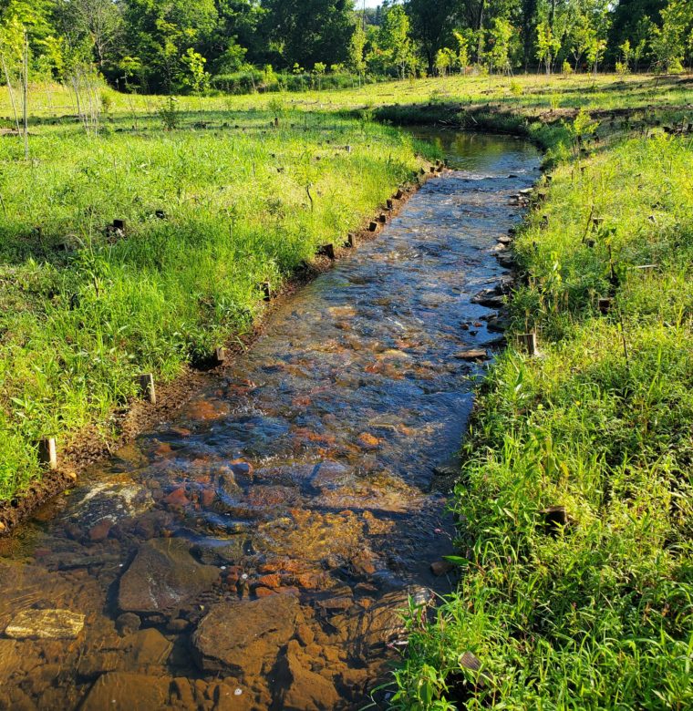 Wetland Mitigation and Monitoring - Coastal Resources, Inc.