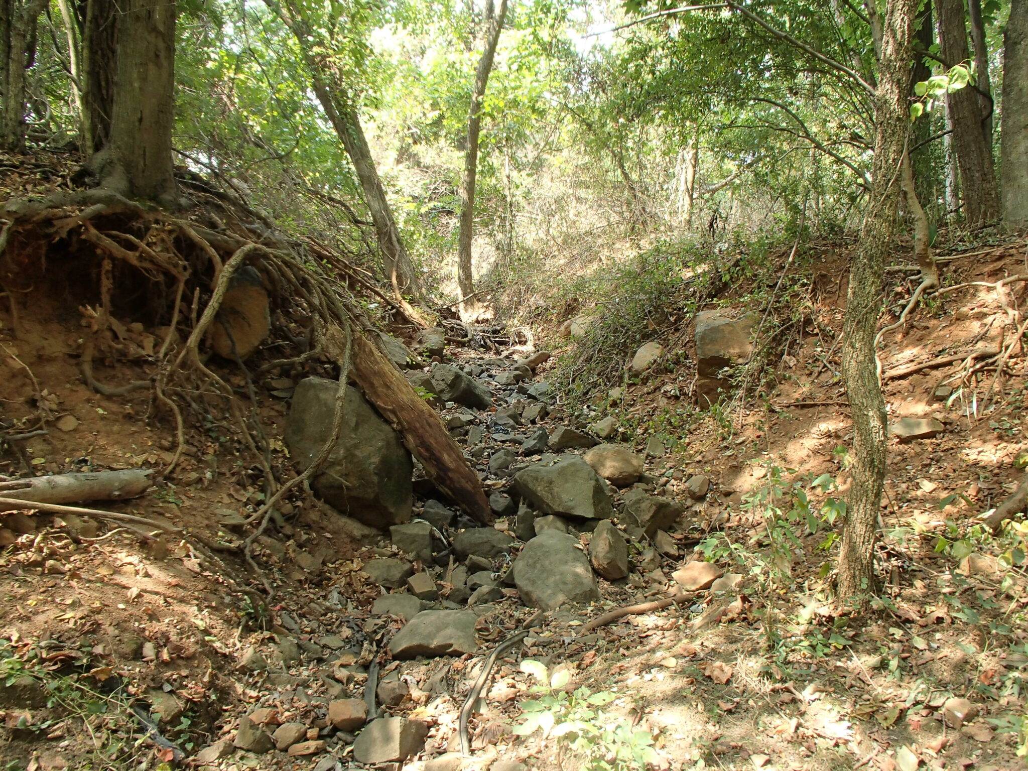Powder Mill Run Restoration Project Coastal Resources, Inc.